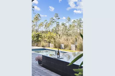 62 Tamoka Court, Inlet Beach, FL 32461 - Photo 44