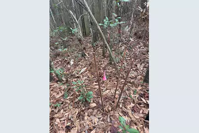 1.3 Acres Cricket Lane, Crestview, FL 32539 - Photo 4