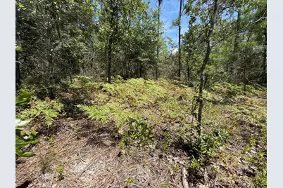 Lot 38 Blk 68 On Clearwater Drive, Defuniak Springs, FL 32433 - Photo 4