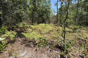 Lot 38 Blk 68 On Clearwater Dr, Defuniak Springs, FL 32433 - Photo 4