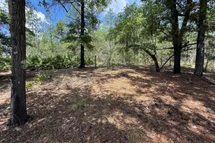 Lot 39 Blk 68 On Clearwater, Defuniak Springs, FL 32433 - Photo 1