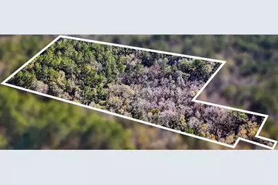 Lot 50 State Highway 81, Ponce de Leon, FL 32455 - Photo 1