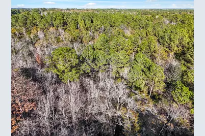 0 St Hwy 81, Ponce de Leon, FL 32455 - Photo 10