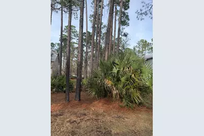Lot I-26 Mallard Lane, Santa Rosa Beach, FL 32459 - Photo 2