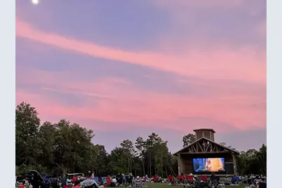 12 Cornelia Street, Freeport, FL 32439 - Photo 86