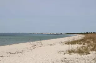 774 Backwater Rd, Port Saint Joe, FL 32456 - Photo 64