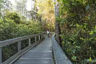 40 Mark Twain Ln, Inlet Beach, FL 32461 - Photo 12