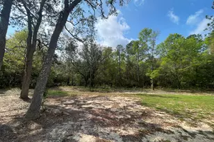 4278 Horseshoe Ln, Holt, FL 32564 - Photo 2
