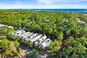 44 E Royal Fern Way E, Santa Rosa Beach, FL 32459 - Photo 68