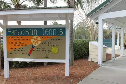 405 Linkside Lane, Miramar Beach, FL 32550 - Photo 48