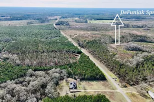 728 Otter Pond Rd, Westville, FL 32464 - Photo 36