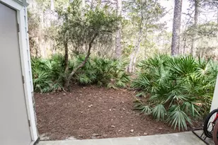 111 Cassine Garden Cir, Santa Rosa Beach, FL 32459 - Photo 12
