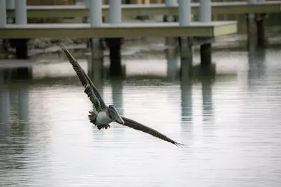 I-14 Mallard Lane, Santa Rosa Beach, FL 32459 - Photo 4