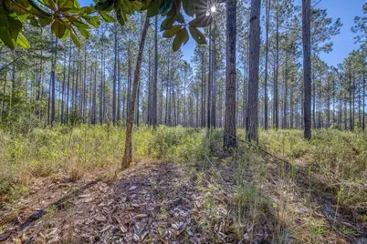 1650 Bear Bay Flats Rd Road, Laurel Hill, FL 32567 - Photo 20