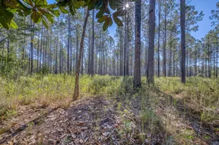 1650 Bear Bay Flats Rd Rd, Laurel Hill, FL 32567 - Photo 20