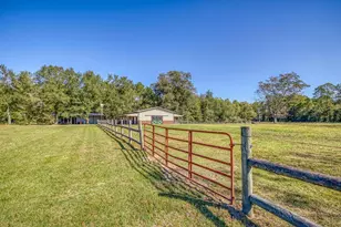 1650 Bear Bay Flats Rd Rd, Laurel Hill, FL 32567 - Photo 52