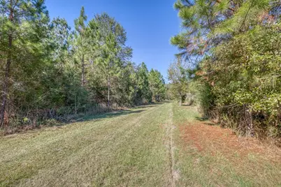 1650 Bear Bay Flats Rd Road, Laurel Hill, FL 32567 - Photo 38