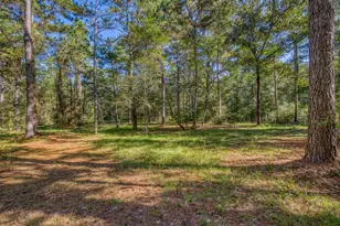 1650 Bear Bay Flats Rd Rd, Laurel Hill, FL 32567 - Photo 16