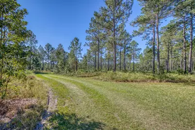 1650 Bear Bay Flats Rd Road, Laurel Hill, FL 32567 - Photo 28
