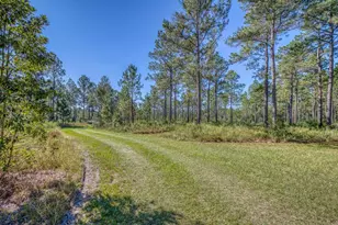 1650 Bear Bay Flats Rd Rd, Laurel Hill, FL 32567 - Photo 28