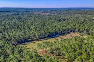 1650 Bear Bay Flats Rd Rd, Laurel Hill, FL 32567 - Photo 156