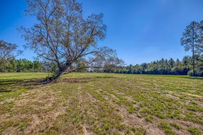 1650 Bear Bay Flats Rd Road, Laurel Hill, FL 32567 - Photo 64