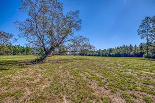 1650 Bear Bay Flats Rd Rd, Laurel Hill, FL 32567 - Photo 64