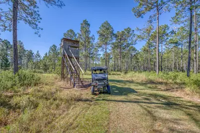 1650 Bear Bay Flats Rd Road, Laurel Hill, FL 32567 - Photo 32