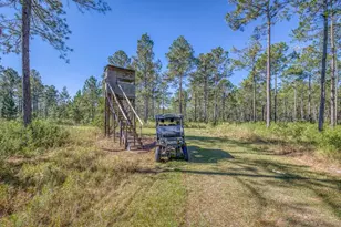 1650 Bear Bay Flats Rd Rd, Laurel Hill, FL 32567 - Photo 32