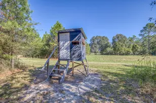 1650 Bear Bay Flats Rd Rd, Laurel Hill, FL 32567 - Photo 36