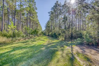 1650 Bear Bay Flats Rd Road, Laurel Hill, FL 32567 - Photo 2