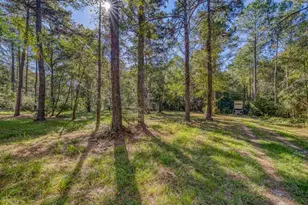 1650 Bear Bay Flats Rd Rd, Laurel Hill, FL 32567 - Photo 10