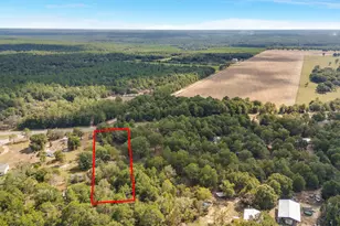 5783 County Road 1087, Defuniak Springs, FL 32433 - Photo 12