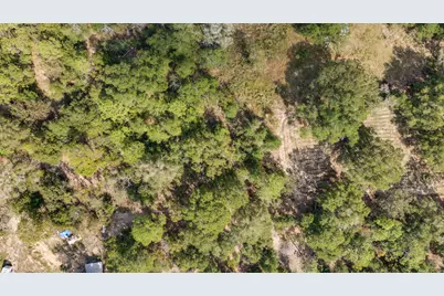 5783 County Road 1087, Defuniak Springs, FL 32433 - Photo 16