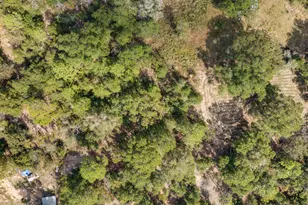 5783 County Road 1087, Defuniak Springs, FL 32433 - Photo 16