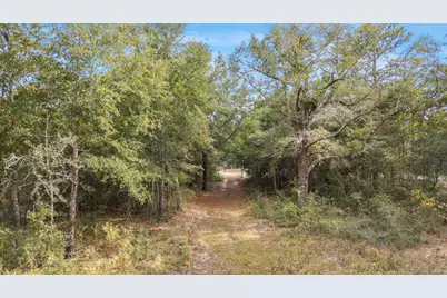 5783 County Road 1087, Defuniak Springs, FL 32433 - Photo 6