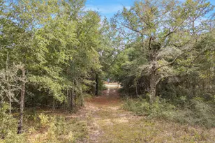 5783 County Road 1087, Defuniak Springs, FL 32433 - Photo 6