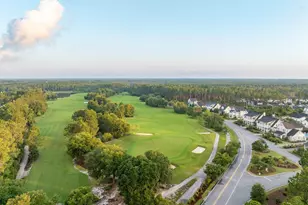 229 Windrow Way, Inlet Beach, FL 32461 - Photo 48