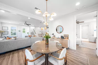 229 Windrow Way, Inlet Beach, FL 32461 - Photo 10