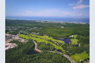 Tbd Pollard Cove East Street #Lot 111, Watersound, FL 32461 - Photo 30