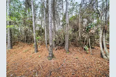 35 Talon Court, Santa Rosa Beach, FL 32459 - Photo 20