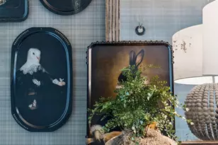 125 Golfridge Dr, Inlet Beach, FL 32461 - Photo 64