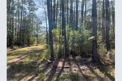 Lot 4 Whisper Lane, Santa Rosa Beach, FL 32459 - Photo 4