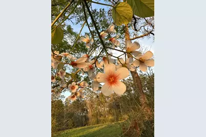 3972 Millside Road, Laurel Hill, FL 32567 - Photo 6