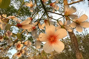 3972 Millside Rd, Laurel Hill, FL 32567 - Photo 6