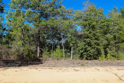 Lot 23 E Marigold East Avenue E, Defuniak Springs, FL 32433 - Photo 2