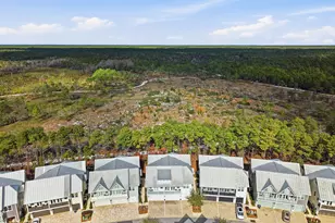 279 Milestone Dr, Inlet Beach, FL 32461 - Photo 40