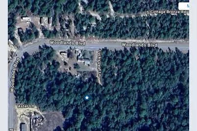 Tbd Lucky Leaf Lane, Defuniak Springs, FL 32433 - Photo 2