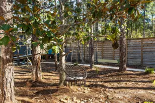 168 Long Leaf Cir, Santa Rosa Beach, FL 32459 - Photo 36