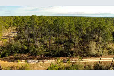 Tbd Tpke Crk Drive, Freeport, FL 32439 - Photo 2